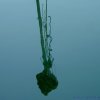 riflessi_d_acqua_010